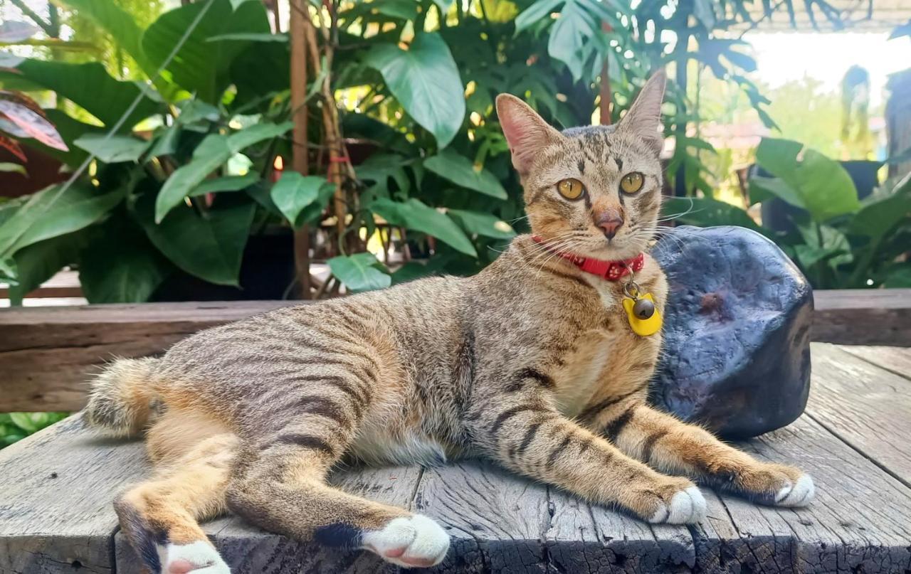 Baan Canalee Phra Nakhon Si Ayutthaya Dış mekan fotoğraf